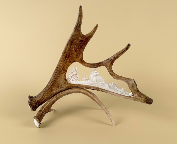 Moose antler with decorative elements of napping wolf on a beige background