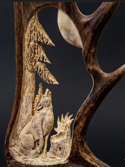 Carved Moose Antler with  scene of wolve howling at the moon under a tree,  against a dark background