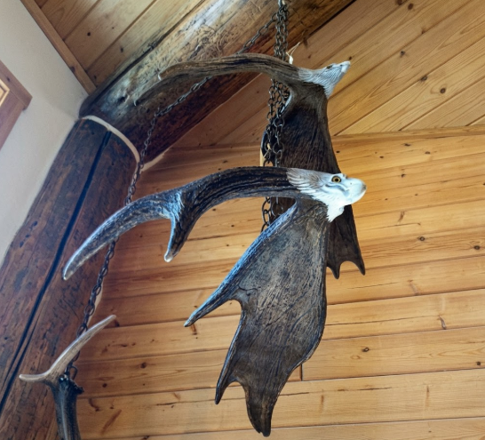 Hanging  eagle antlers art
