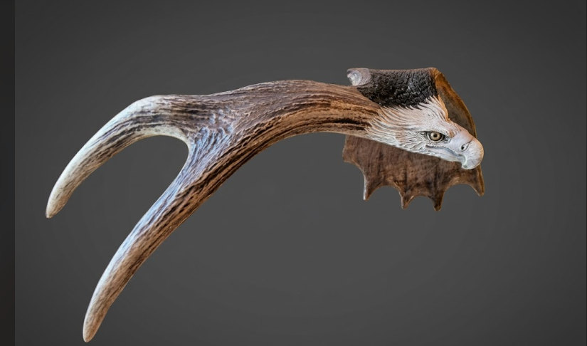 Fly high with the decorative antler with an eagle design on a gray background