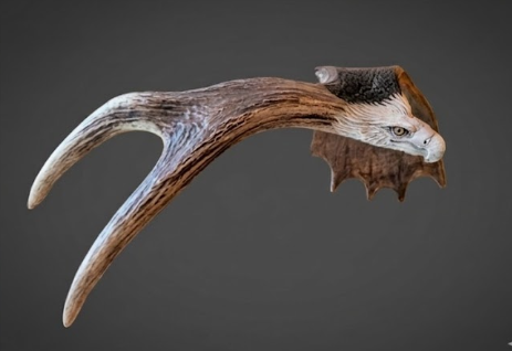 Decorative  moose antler with an eagle's head on a dark background