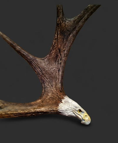 eagle moose antler carving