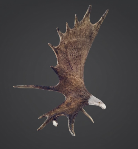 eagle moose antler carving