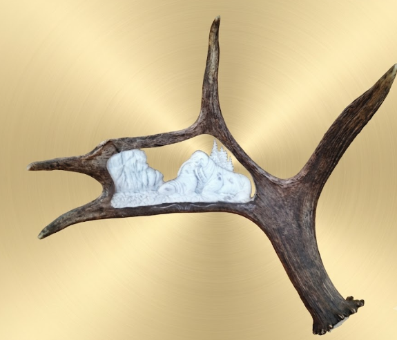 Walrus moose antler carving from a caribou antler on a tan background