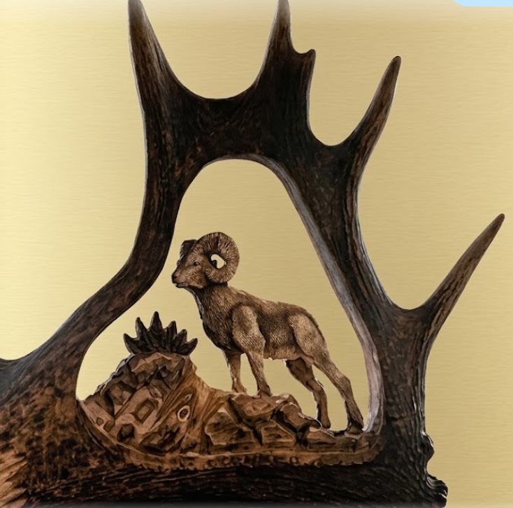 Bighorn sheep antler carving in caribou antler 