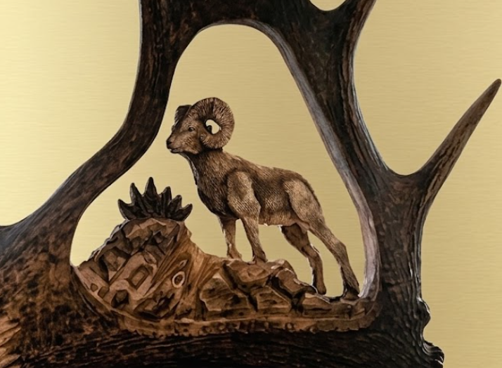 Bighorn sheep antler carving darkened on tan background.