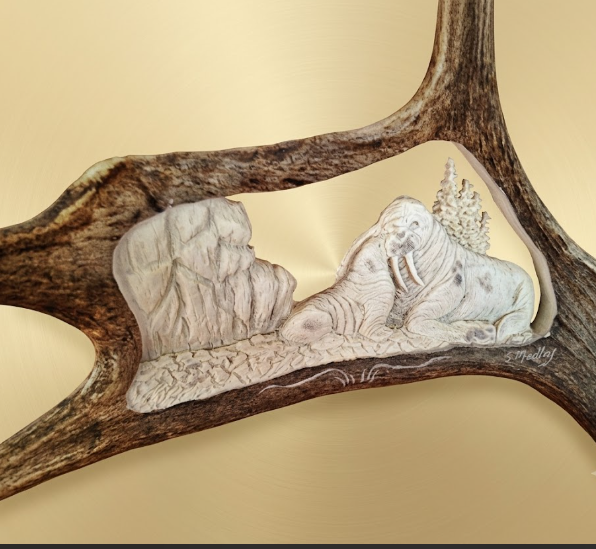 Carved caribou antler with  walrus design on a beige background 