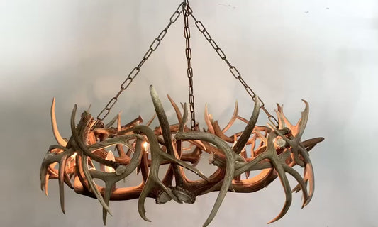 The Round Deer Antler Chandelier