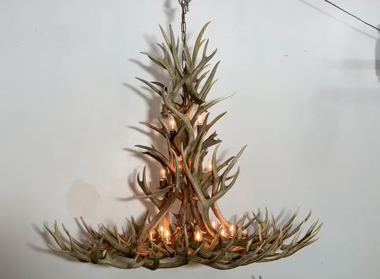 The Stairway to Heaven Deer Antler Chandelier 7' Tall 6' Wide 28 Lights