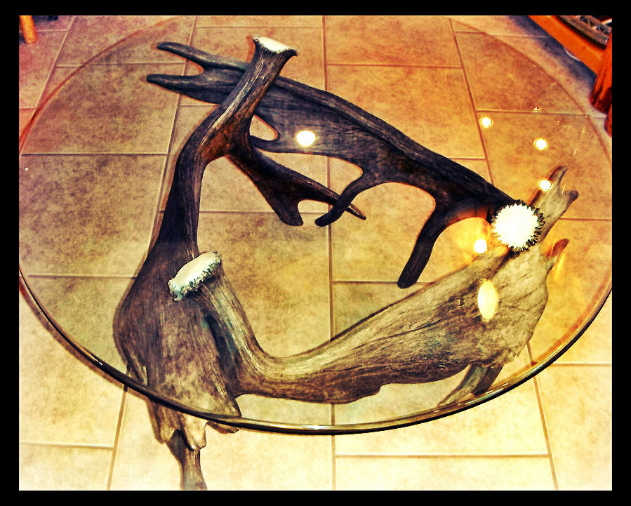 Moose Antler End Table w/Glass