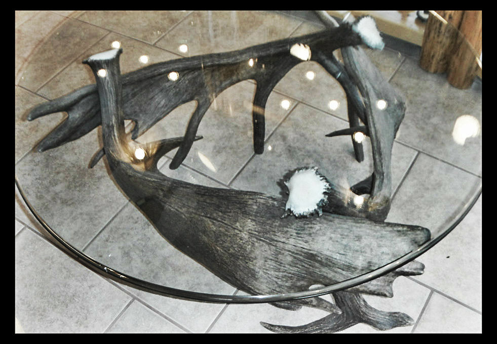 Moose Antler End Table w/Glass