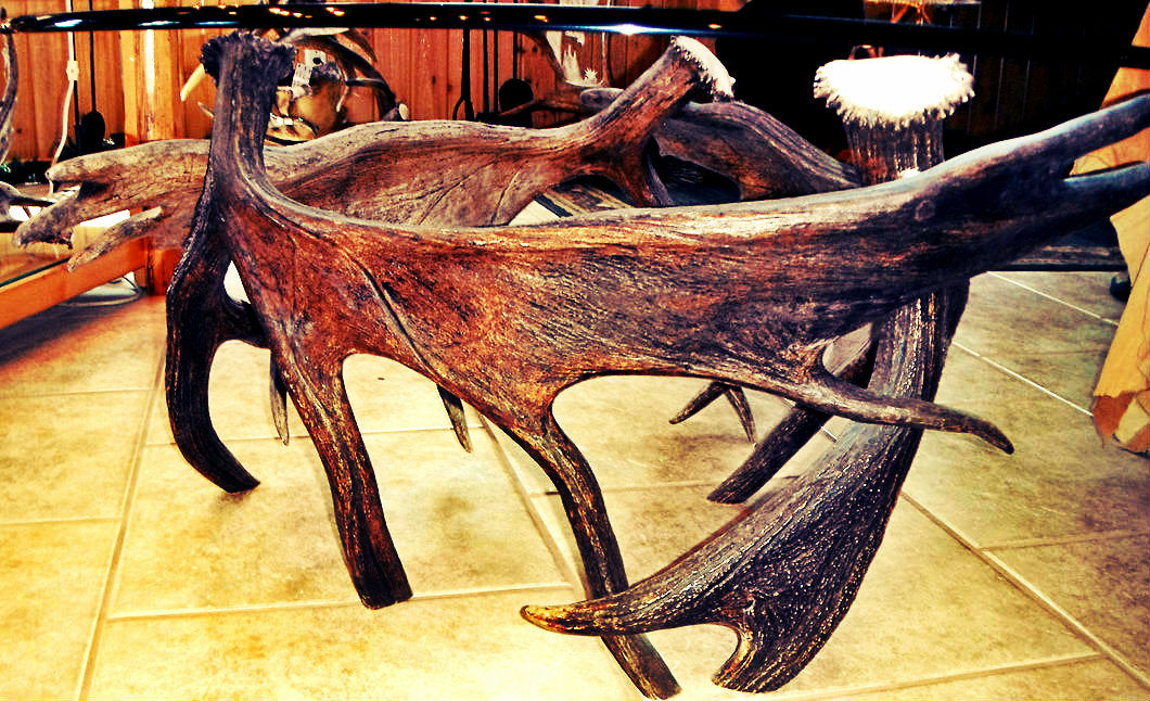 Moose Antler End Table w/Glass