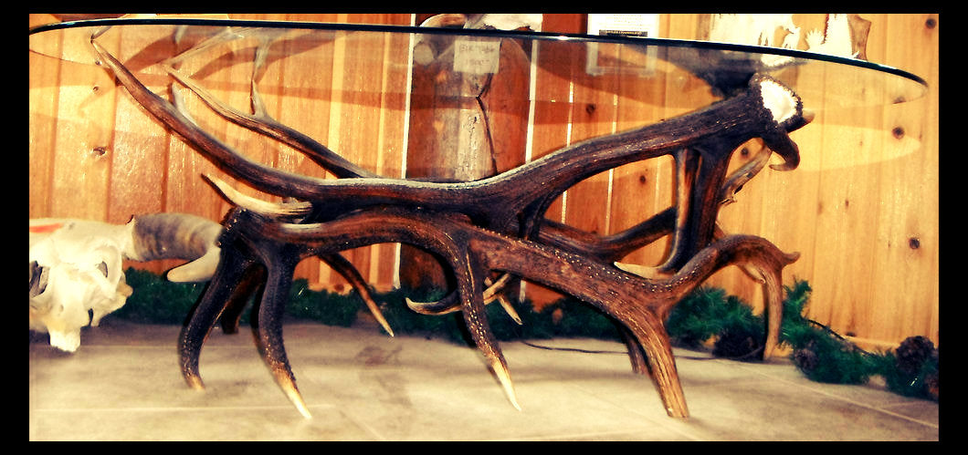 Elk Antler Coffee Table