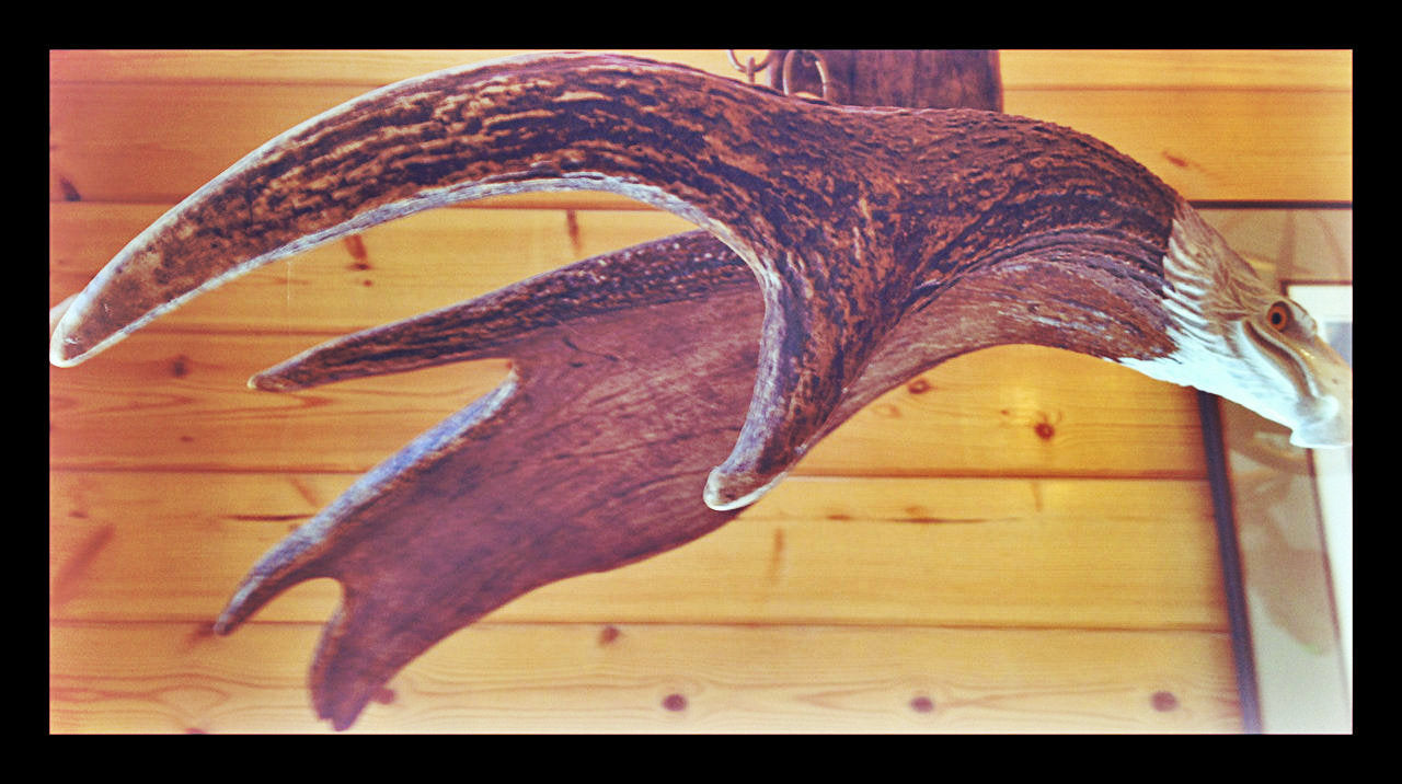 Soaring Eagle Antler Carving