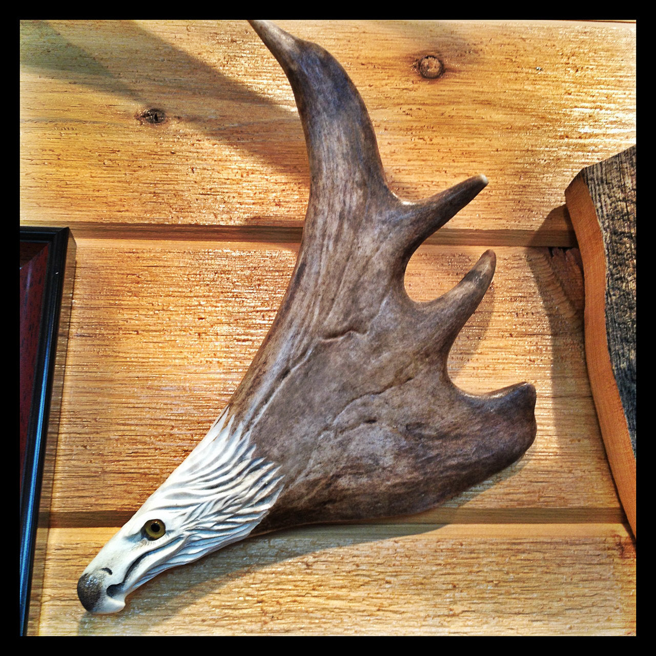 Soaring Eagle Antler Carving, Wall