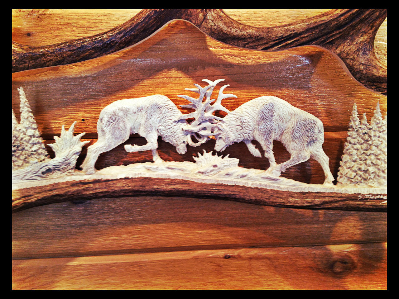 Fighting Elk Moose Antler Carving