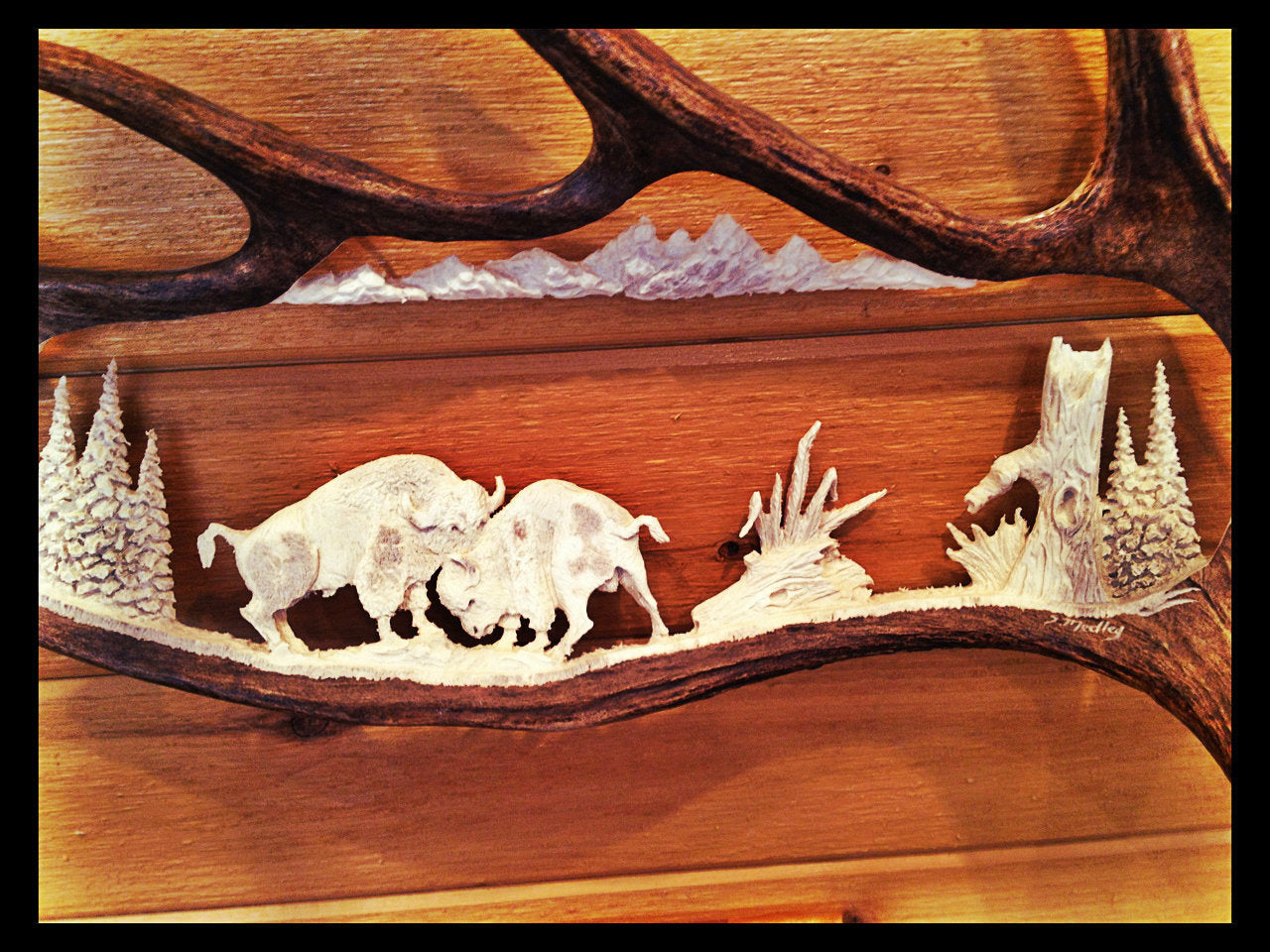 Buffalo Bulls Fighting Antler Carving