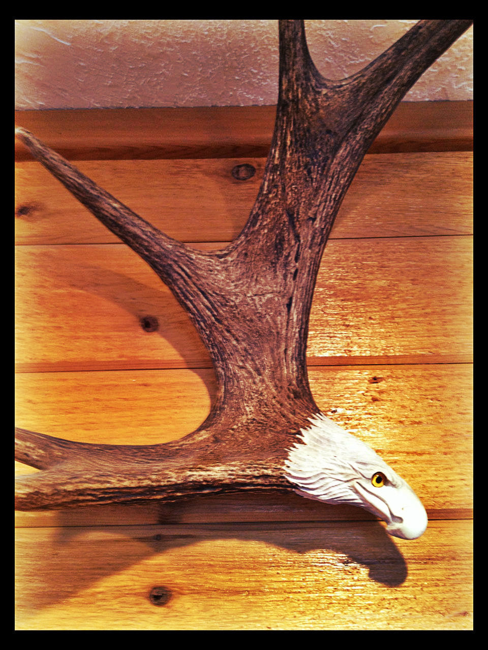 Soaring Eagle Antler Carving, Wall