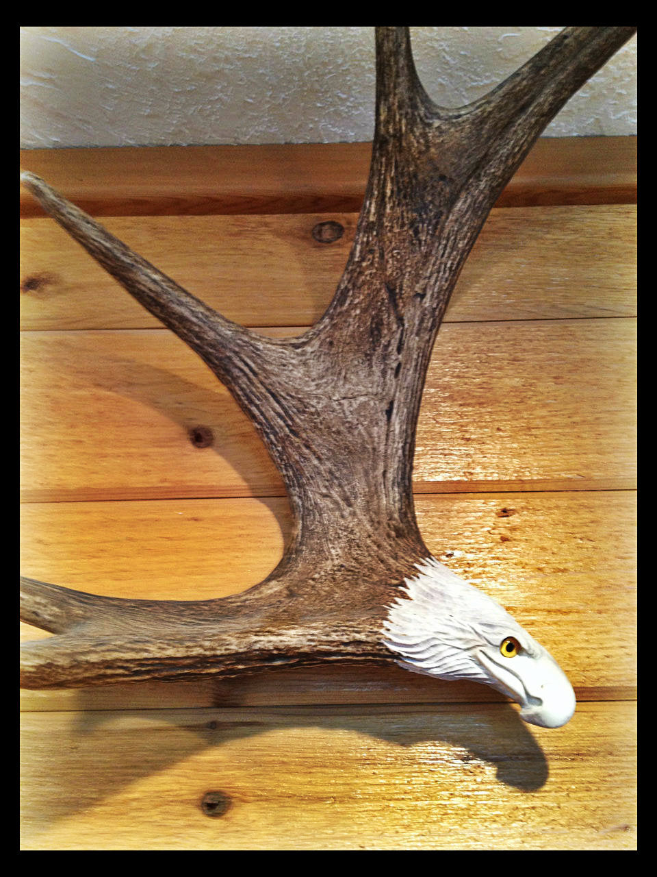 Soaring Eagle Antler Carving, Wall