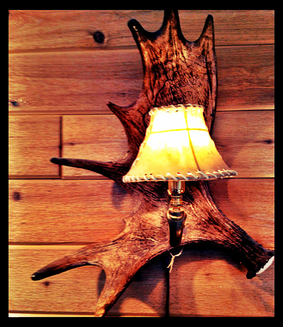 Moose Antler Wall Sconce w/Rawhide Shade