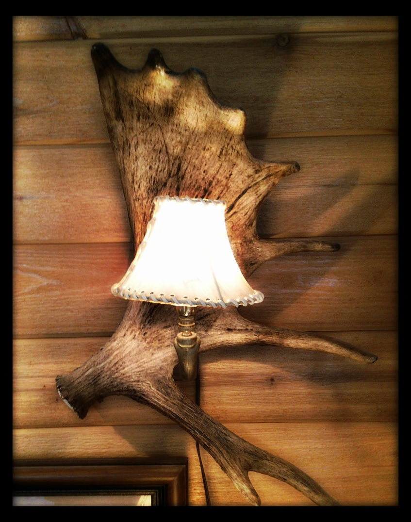 Moose Antler Wall Sconce w/Rawhide Shade