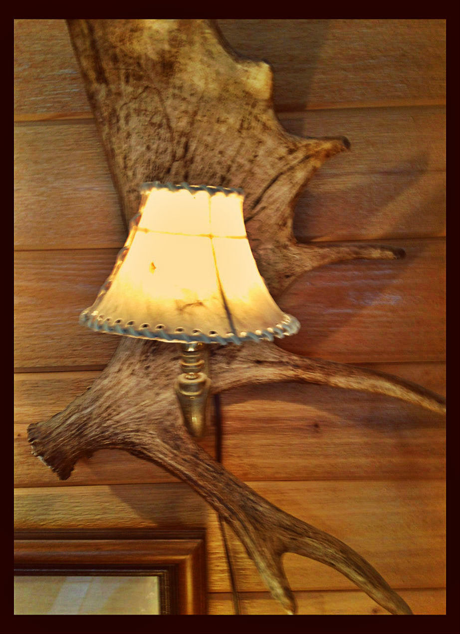 Moose Antler Wall Sconce w/Rawhide Shade