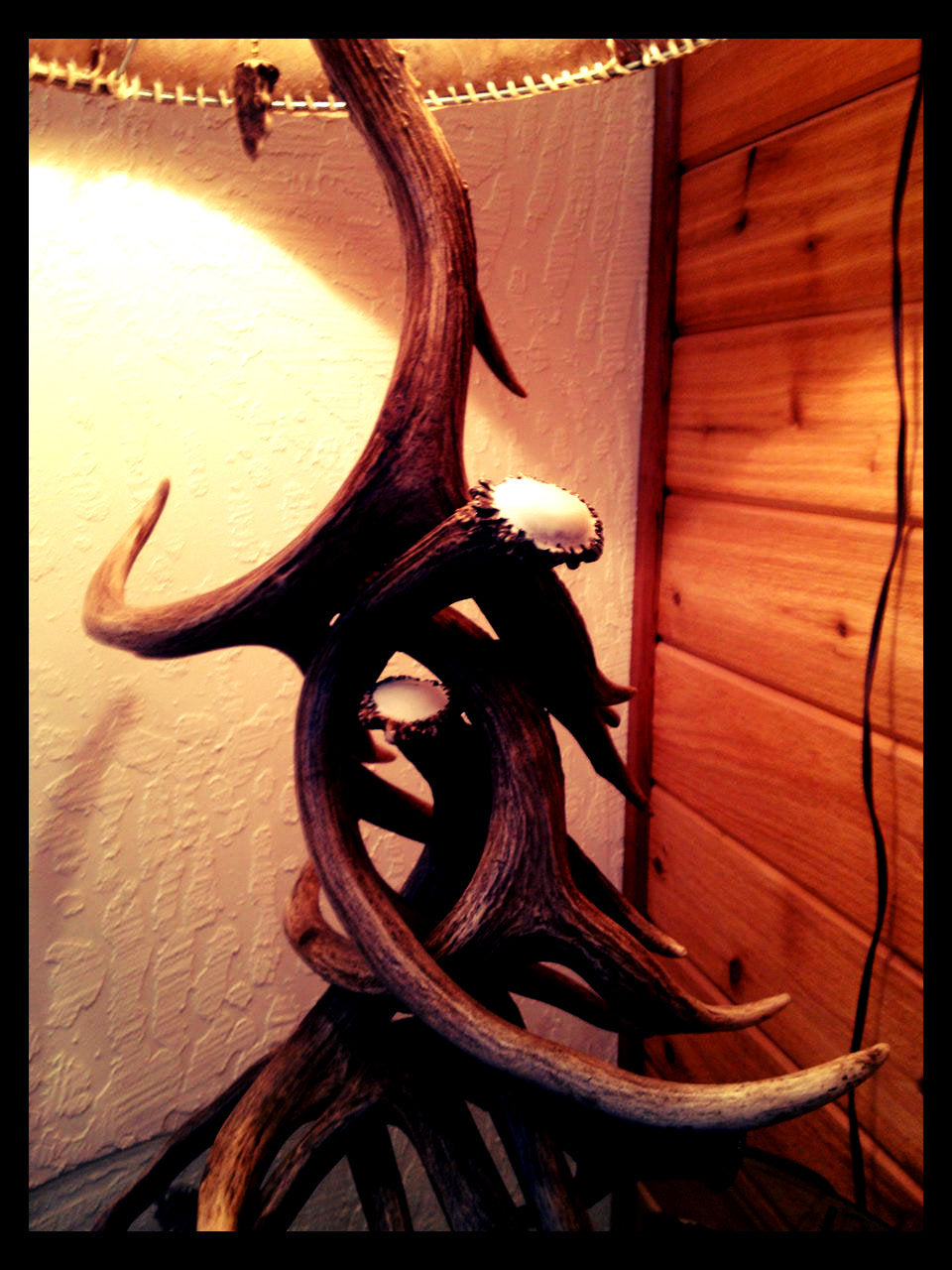 Mule Deer 4 Antler Table Lamp w/ Rawhide Shade