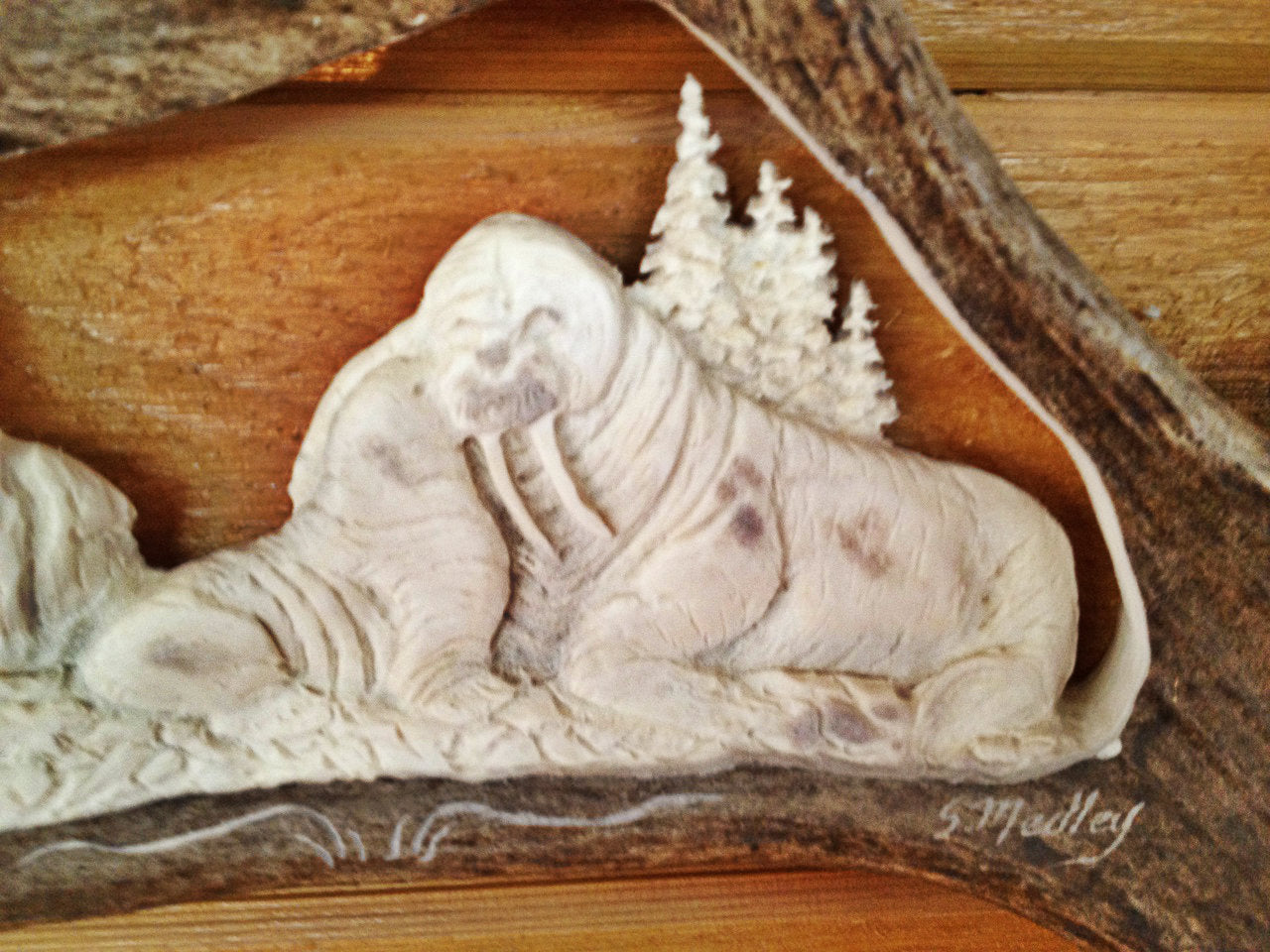 Momma Walrus Antler Carving, 15"-20"