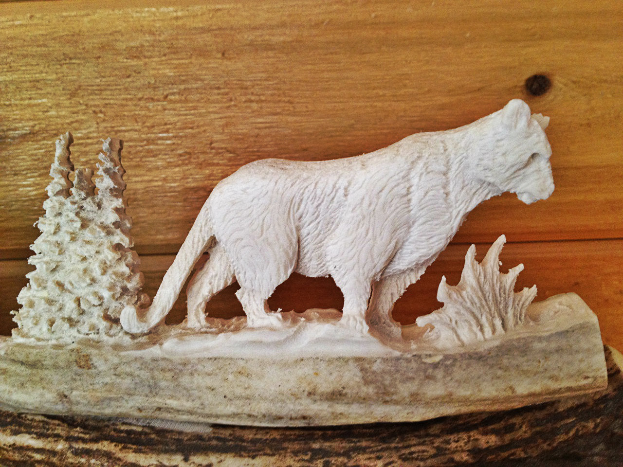 Cougar Antler Carving