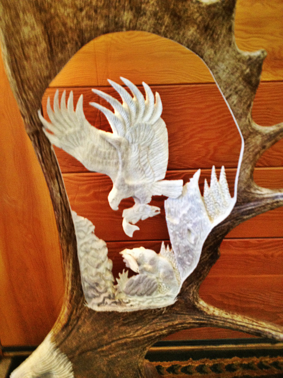 Last Catch Eagle Salmon and Bear Moose Antler Carving