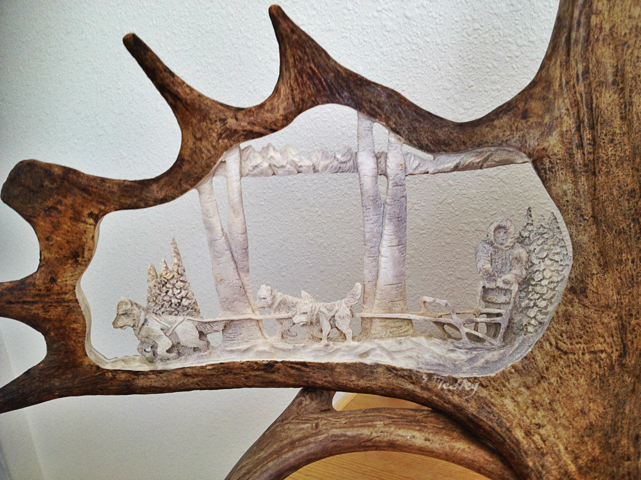 Iditarod Sled Dogs Moose Antler Carving