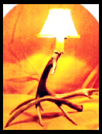 Mule Deer Antler Mantle Lamp w/ Rawhide Shade