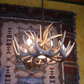 North Dakota Deer Antler Chandelier, 22" W x 15" T, 5 Lights