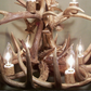 Lochsa Wilderness Deer Antler Chandelier, 23" W x 20" T, 2 tier 7 lights