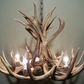 Michigan Deer Antler Chandelier, 23" W x 16" T, 4 Lights