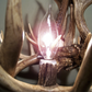 Michigan Deer Antler Chandelier, 23" W x 16" T, 4 Lights
