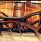 Elk Antler Coffee Table