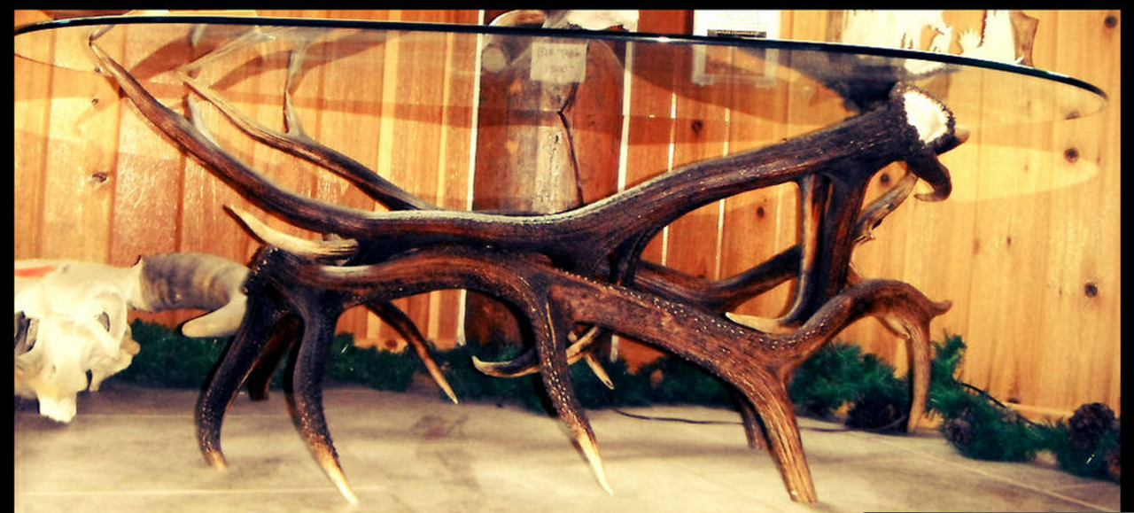 Elk Antler Coffee Table