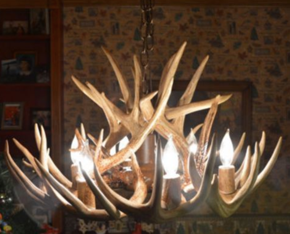 Virginia Deer Antler Chandelier, 26" W x 16" T, 6 Lights