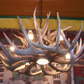 Illinois Deer Antler Chandelier, 30" W x 17" T, 6 Lights