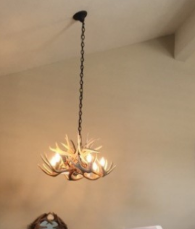 The Wild Rose Deer Antler Chandelier