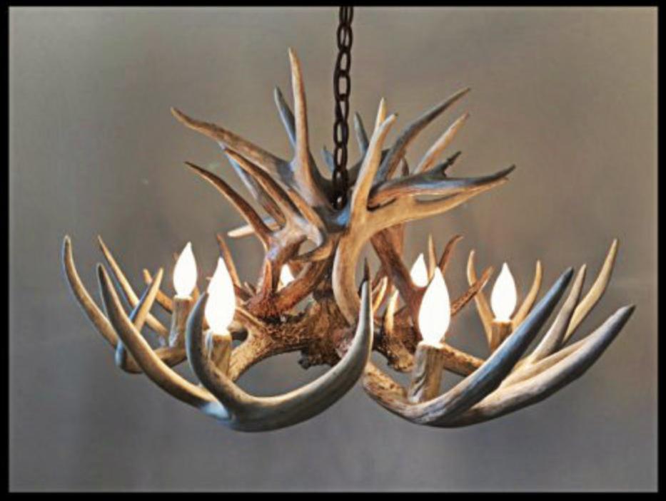 The Wild Rose Deer Antler Chandelier