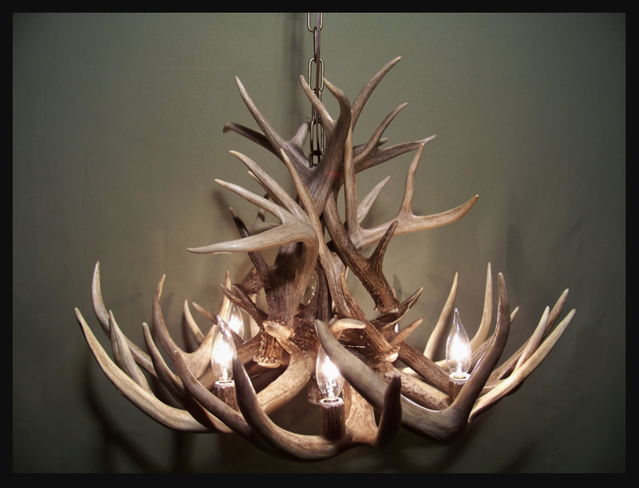 Kansas Deer Antler Chandelier, 30" W x 20" T, 6 Lights