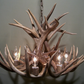 Mississippi Deer Antler Chandelier, 26" W x 16" T, 6 Lights