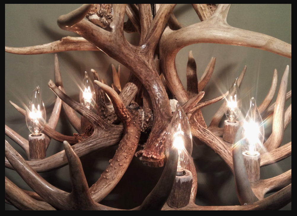 Maryland Deer Antler Chandelier, 28" W x 20" T, 6 Lights