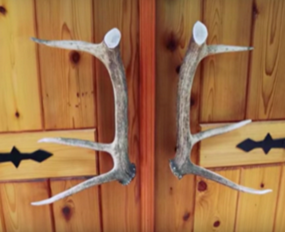 Real Antler Door Handles