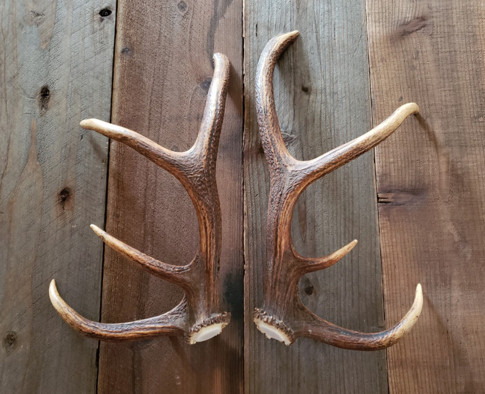 Real Antler Door Handles