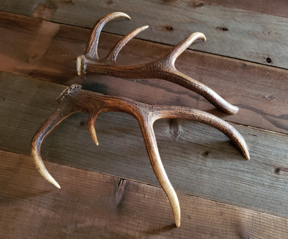 Real Antler Door Handles