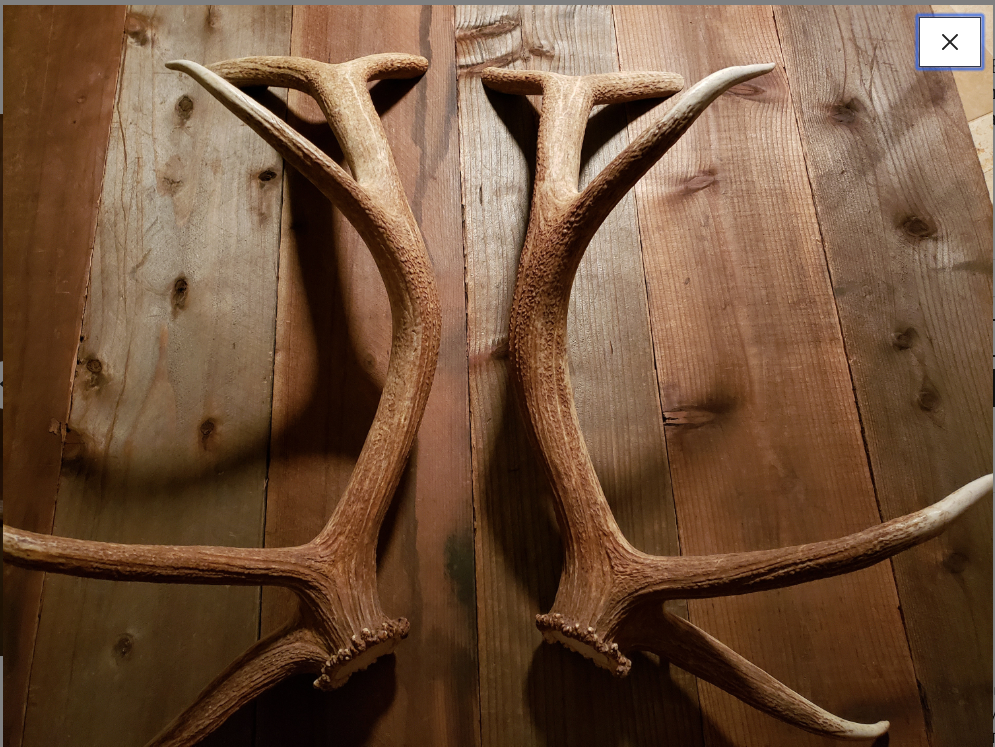 Real Antler Door Handles