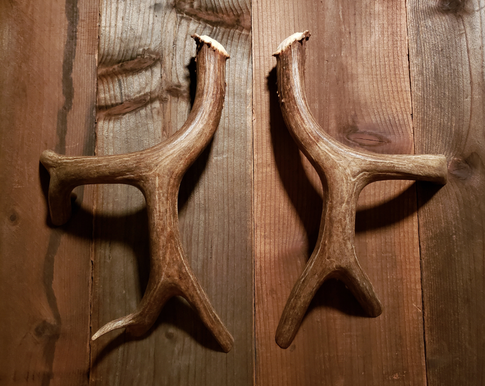 Real Antler Door Handles